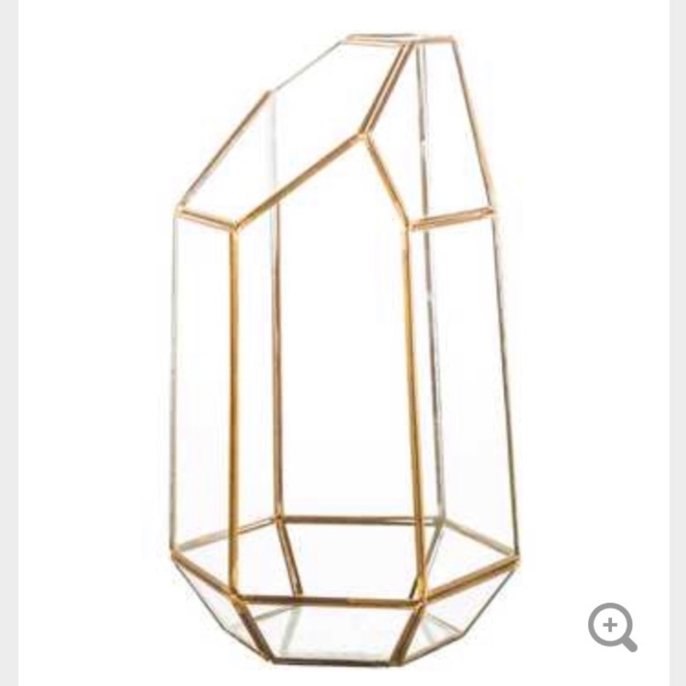 Gold and glass tall terrarium